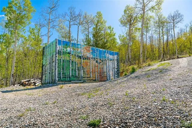1023 Mexican Ridge Circle Como, CO 80432