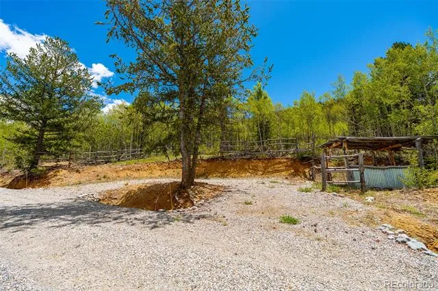 1023 Mexican Ridge Circle Como, CO 80432