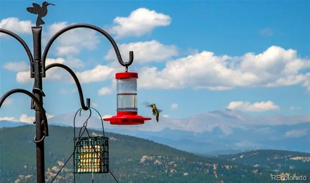 26427 Bell Park Drive Evergreen, CO 80439