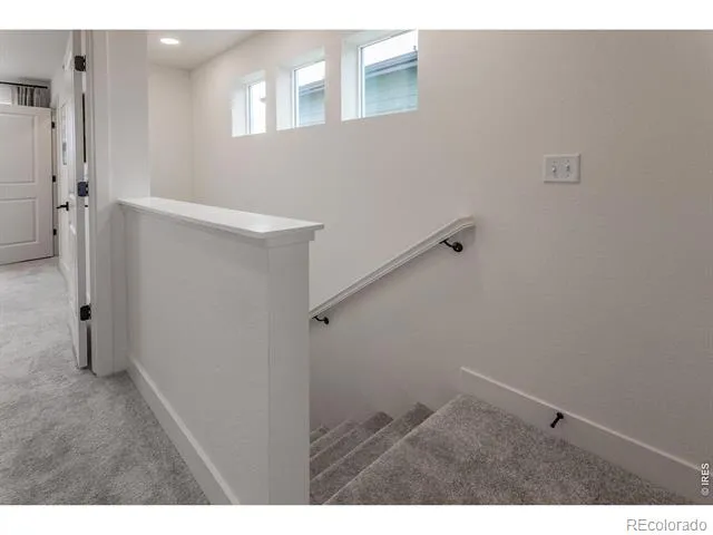 928 Trumpet Lane Windsor, CO 80550