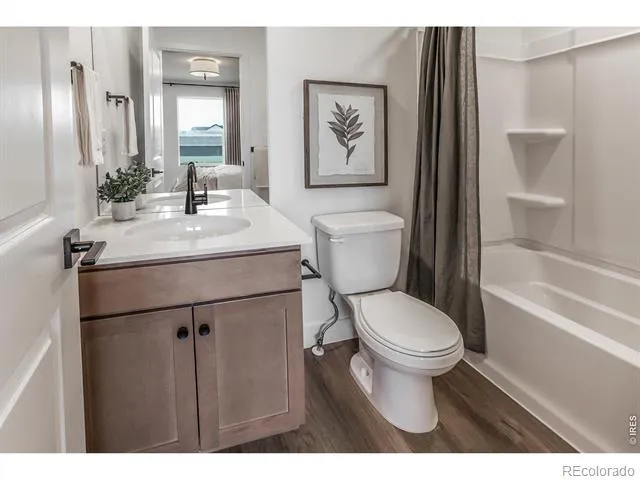 928 Trumpet Lane Windsor, CO 80550