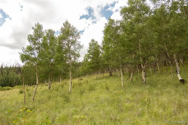 1001 County Rd 17 Lake City, CO 81235