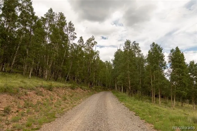 1001 County Rd 17 Lake City, CO 81235