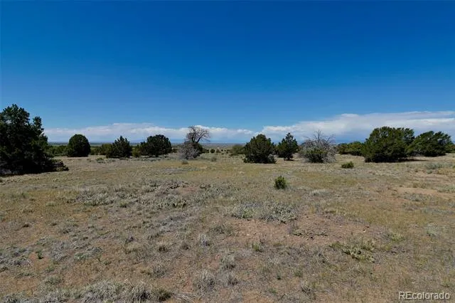 1515 Wagon Wheel Road Crestone, CO 81131