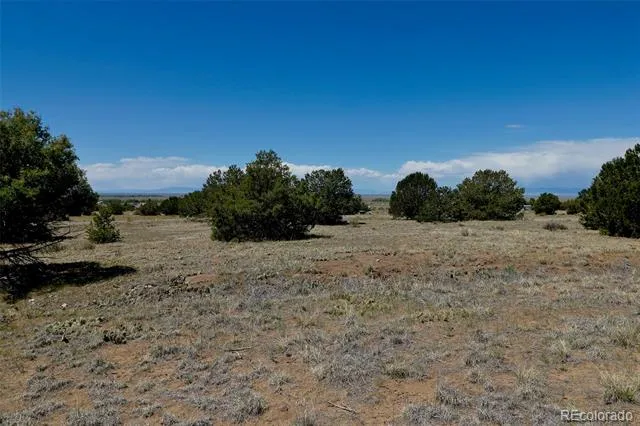 1515 Wagon Wheel Road Crestone, CO 81131