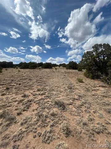 CR 530 Walsenburg, CO 81089