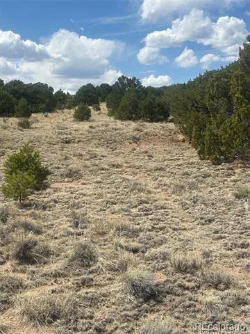 CR 530 Walsenburg, CO 81089