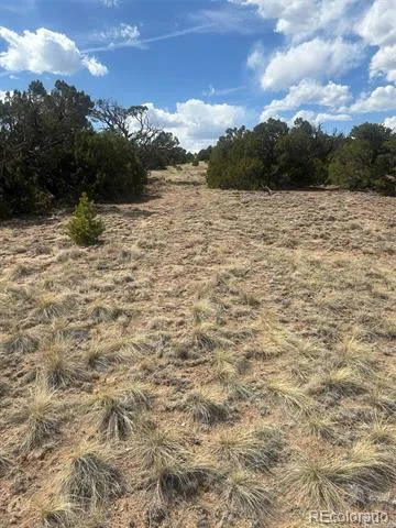 CR 530 Walsenburg, CO 81089