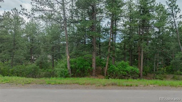 648 Copper Fox Place Larkspur, CO 80118