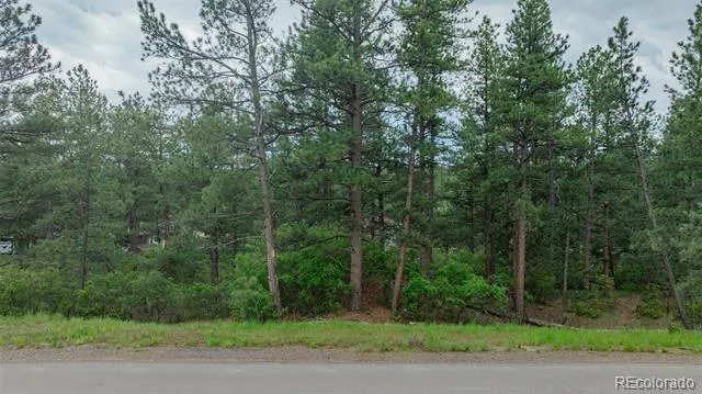 648 Copper Fox Place Larkspur, CO 80118