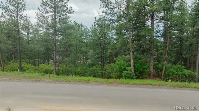 648 Copper Fox Place Larkspur, CO 80118