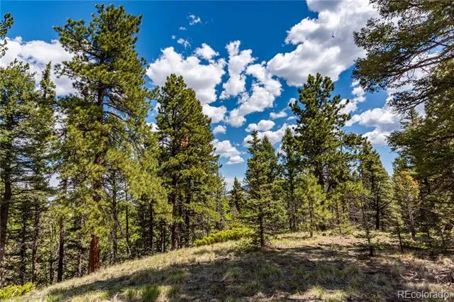 298 Steven Road Canon City, CO 81212
