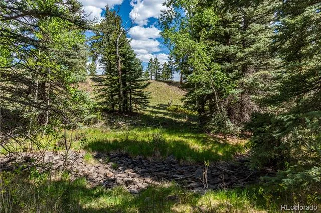 298 Steven Road Canon City, CO 81212