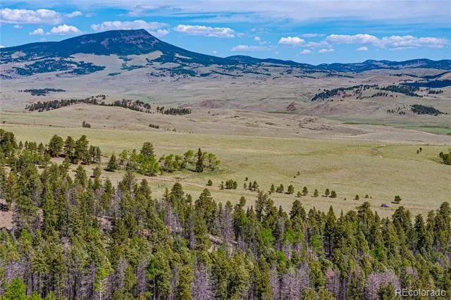 298 Steven Road Canon City, CO 81212