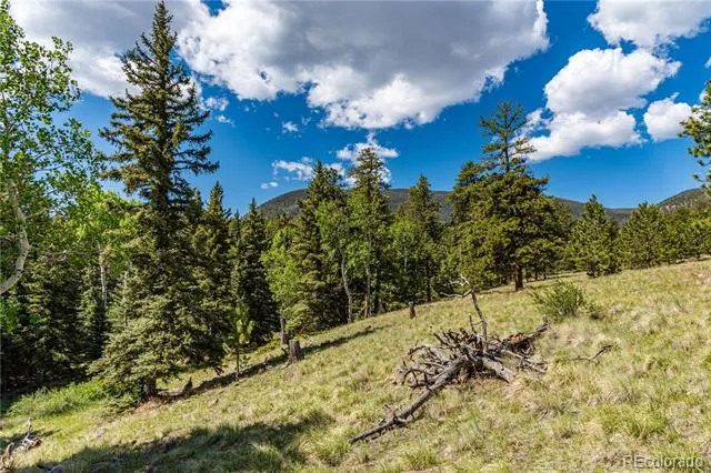 298 Steven Road Canon City, CO 81212