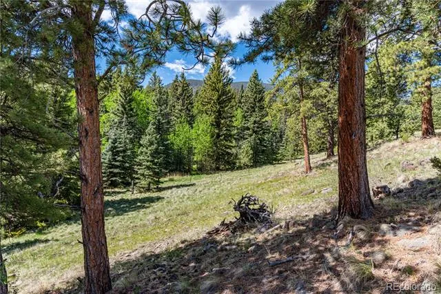 298 Steven Road Canon City, CO 81212