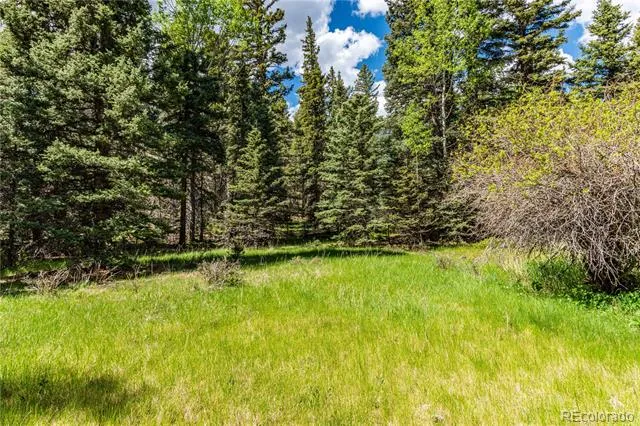 298 Steven Road Canon City, CO 81212