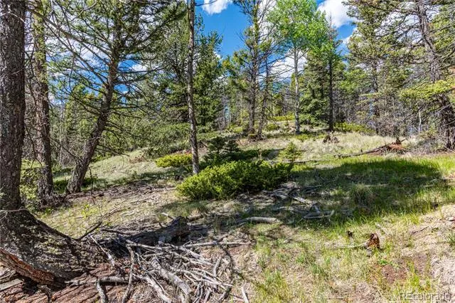 298 Steven Road Canon City, CO 81212