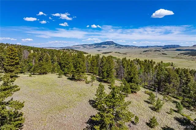 298 Steven Road Canon City, CO 81212