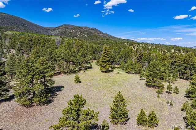 298 Steven Road Canon City, CO 81212