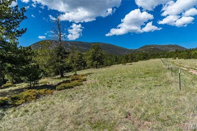 298 Steven Road Canon City, CO 81212