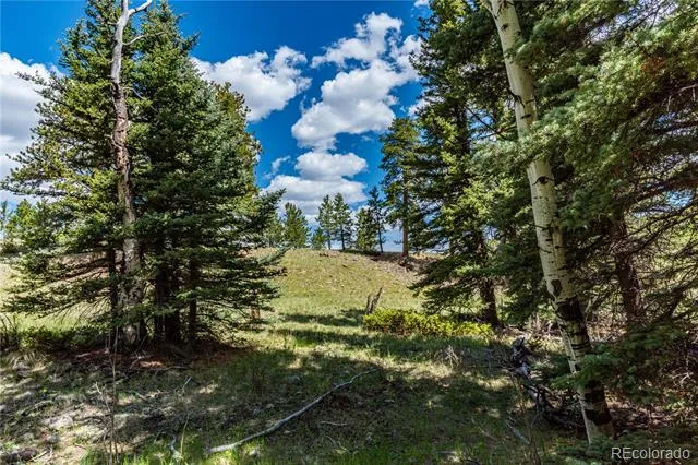 298 Steven Road Canon City, CO 81212
