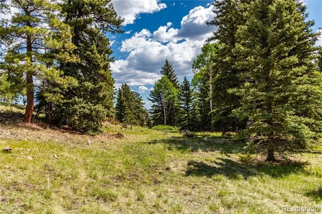 298 Steven Road Canon City, CO 81212