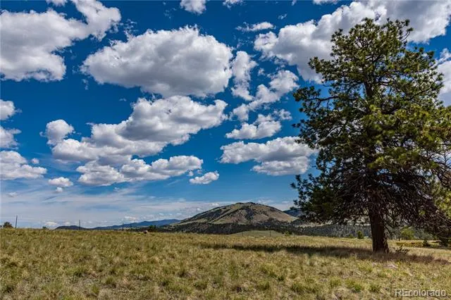 298 Steven Road Canon City, CO 81212