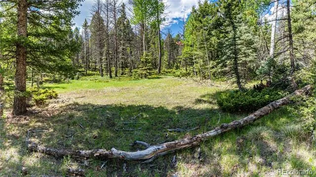 298 Steven Road Canon City, CO 81212