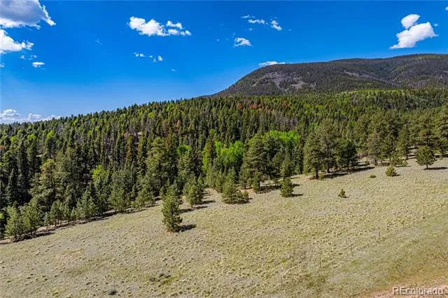 298 Steven Road Canon City, CO 81212