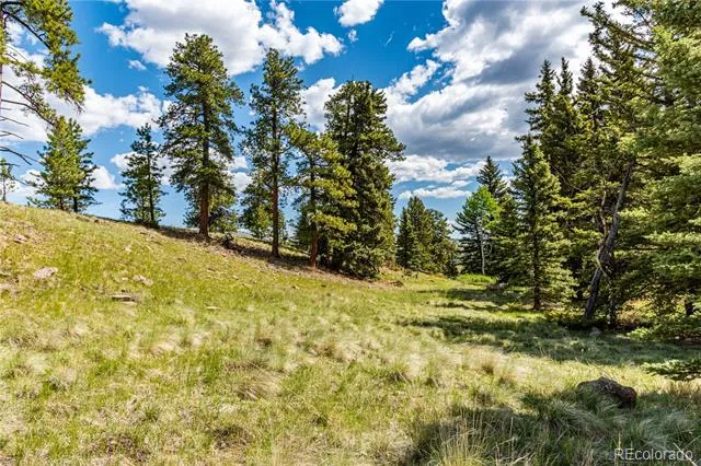 298 Steven Road Canon City, CO 81212