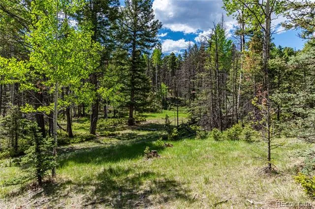 298 Steven Road Canon City, CO 81212