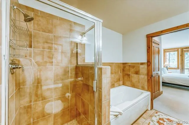 224 Trailhead Drive #3078 Dillon, CO 80435