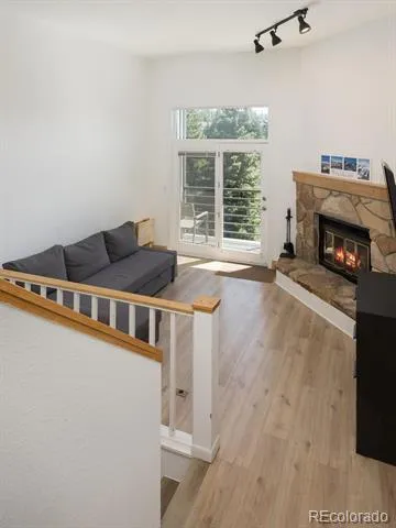 10000 Ryan Gulch Road #105 Silverthorne, CO 80498