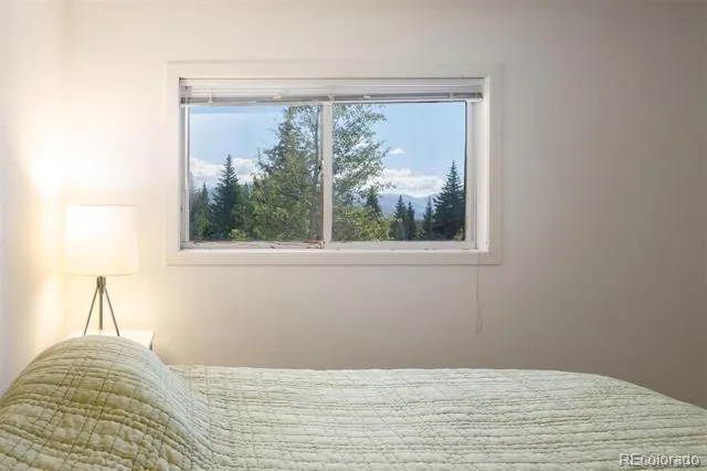 10000 Ryan Gulch Road #105 Silverthorne, CO 80498