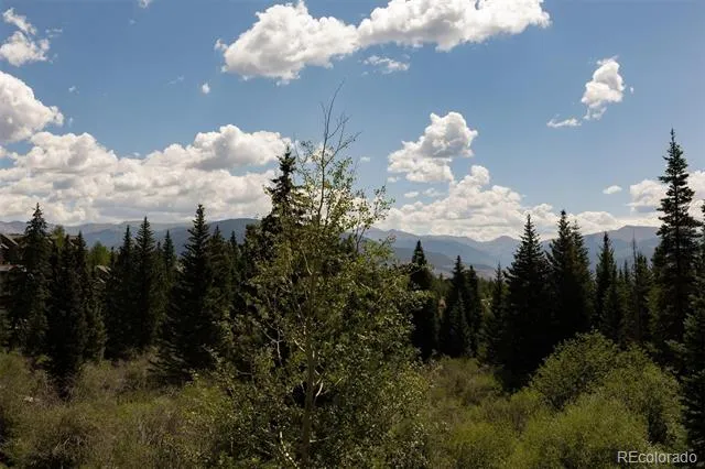 10000 Ryan Gulch Road #105 Silverthorne, CO 80498