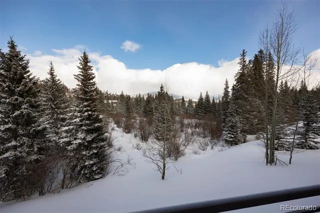 10000 Ryan Gulch Road #105 Silverthorne, CO 80498