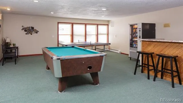 10000 Ryan Gulch Road #105 Silverthorne, CO 80498
