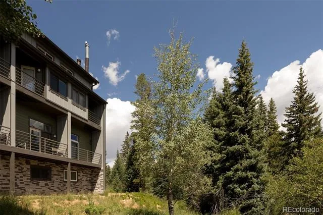10000 Ryan Gulch Road #105 Silverthorne, CO 80498