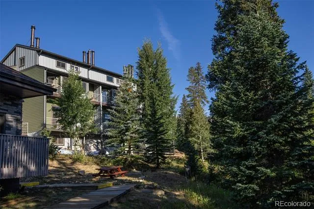 10000 Ryan Gulch Road #105 Silverthorne, CO 80498