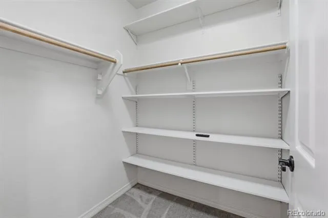 20305 True Vista Circle Monument, CO 80132