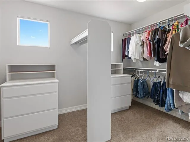 11691 Riverdale Drive Parker, CO 80138
