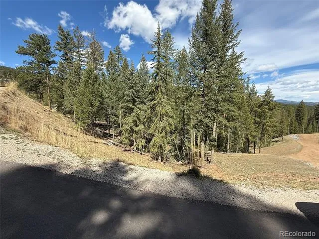 Address Not Shown Evergreen, CO 80439