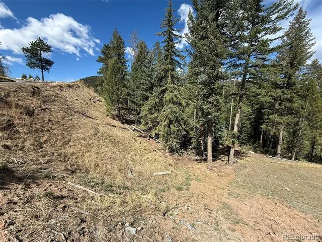 Address Not Shown Evergreen, CO 80439