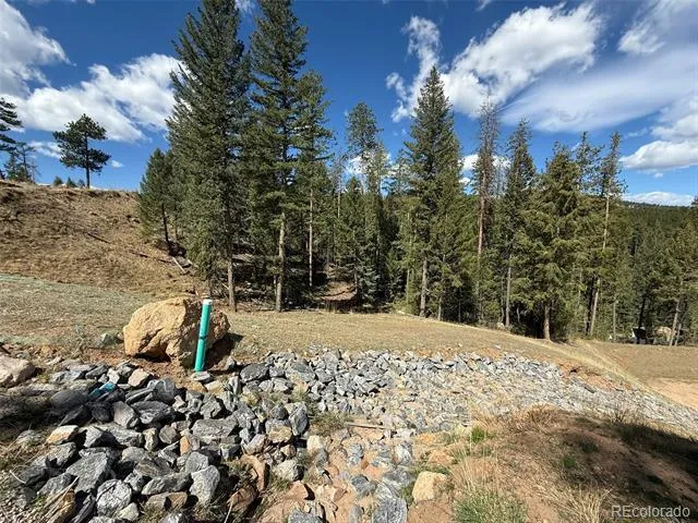 Address Not Shown Evergreen, CO 80439