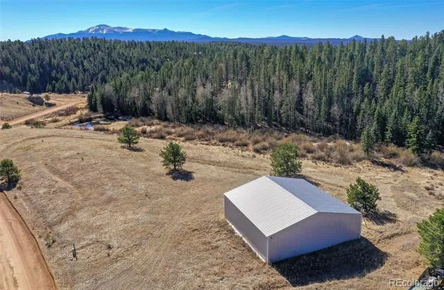 169 Saddleback Creek Drive Florissant, CO 80816