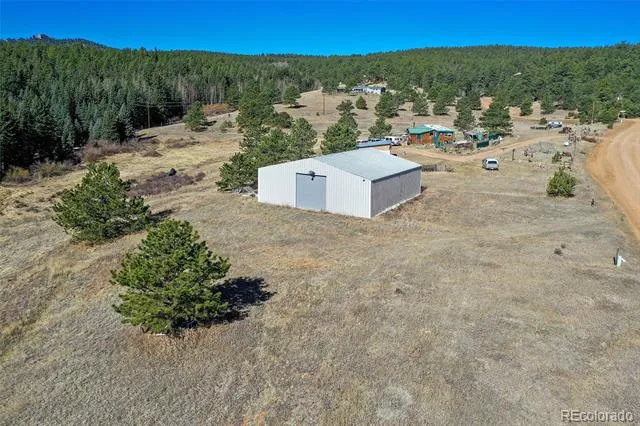169 Saddleback Creek Drive Florissant, CO 80816