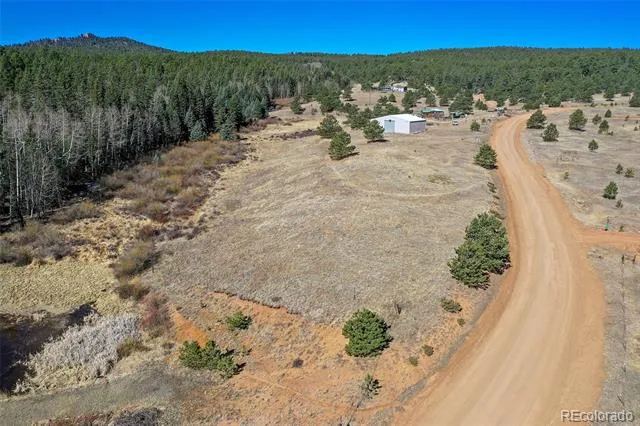 169 Saddleback Creek Drive Florissant, CO 80816