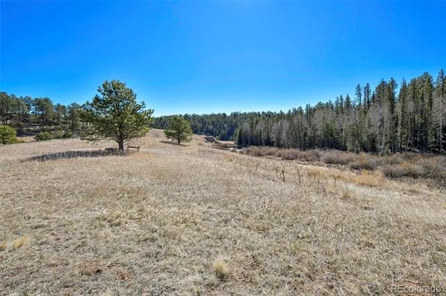 169 Saddleback Creek Drive Florissant, CO 80816