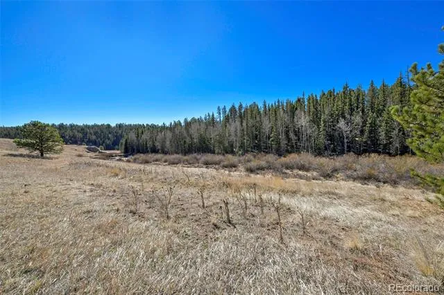 169 Saddleback Creek Drive Florissant, CO 80816